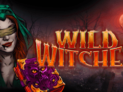 Wild Witches game icon